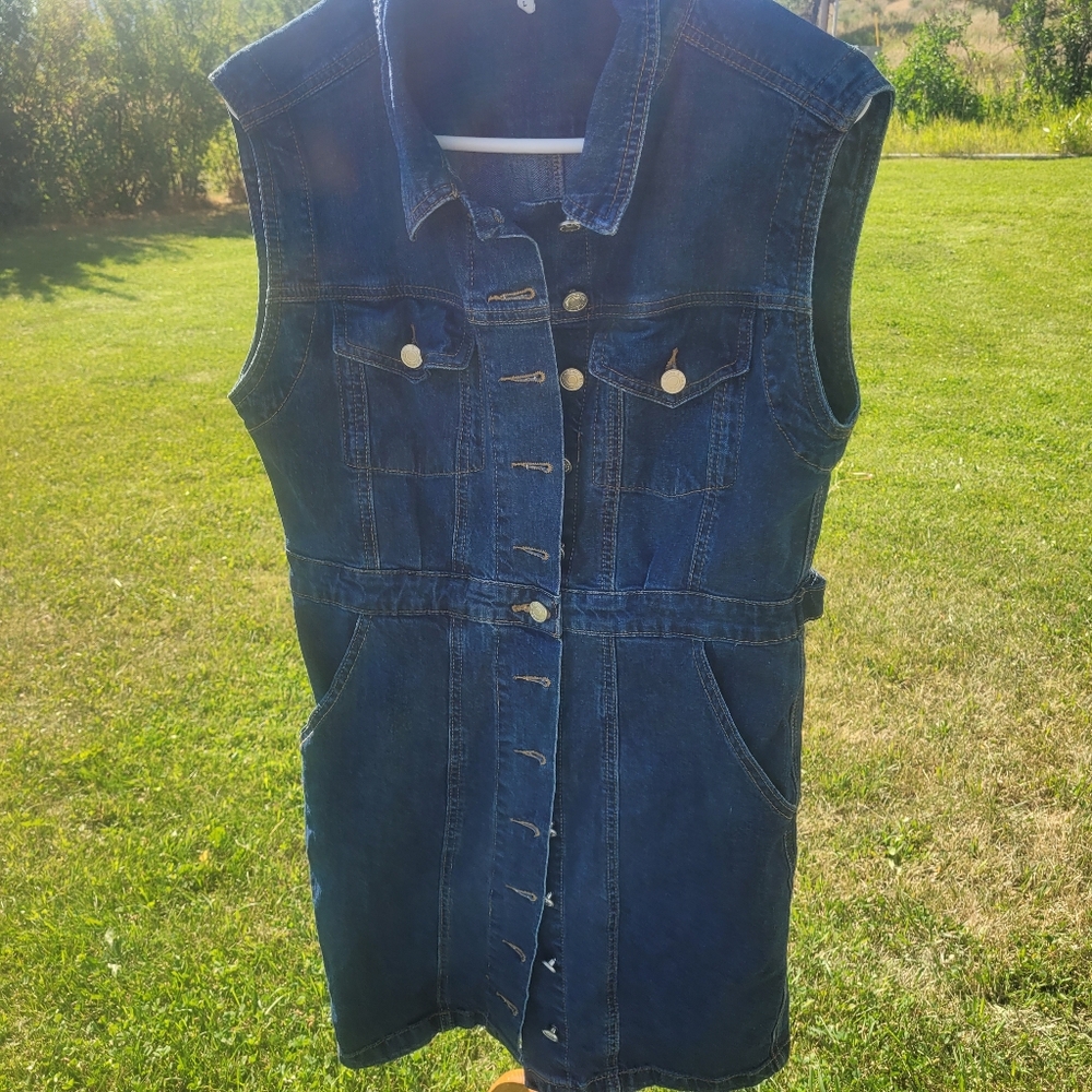 Button Down Denim Aaron & Amber, L Sleeveless Denim Dress